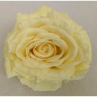 Róża wyrobowa EXCLUSIVE (6-pak) kolor MS1